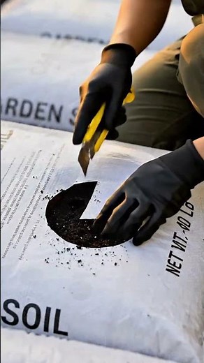 土を掘らない日本風ガーデニング｜Sweet Potato Grow Bag Garden