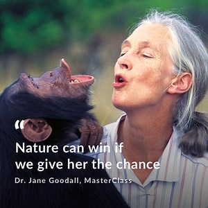8.9M views · 4K reactions | “There is still a window of time. Nature can win If we give her a chance.” - Dr. Jane Goodall | MasterClass | Facebook