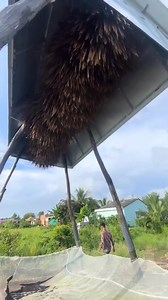 How Bat Poop is More Valuable 😰 #usa #poop | Crazyworld