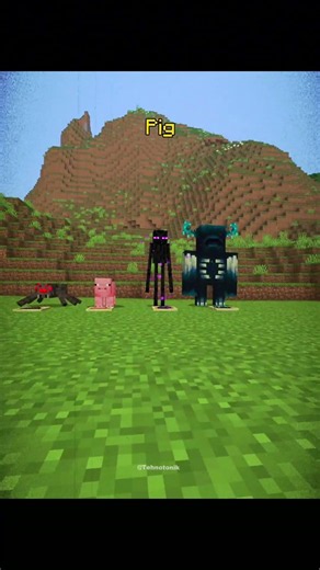 Minecraft Pov: Inside Mob Vision Moment