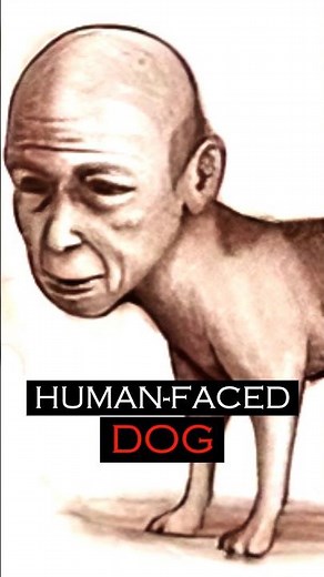Jinmenken - The Terrifying "Human-Faced Dog" Japanese Yokai