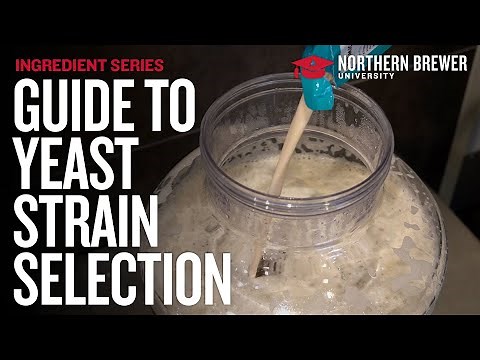 Homebrewer's Guide to Yeast Strain Selection