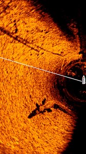 95K views · 515 reactions | When you spot a dinosaur on #MEGA360 imaging!  #Humminbird | Humminbird | Facebook