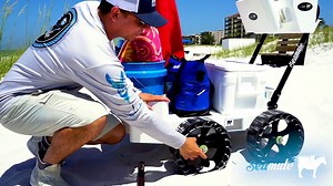 1.6K views · 50 reactions | On soft sand, our Beach Cart's puncture free wheels reduce how hard you have to push to move your cart by more than half compared to standard beach carts! #Seamule #BeachCart #beachlife #familyfun #builtlikeamule | Flushmaster Marine | Facebook