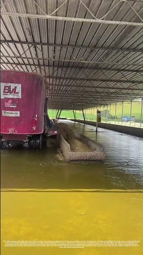 Managing the Herd: How Modern Dairy Farming Keeps Cows Healthy and Productive