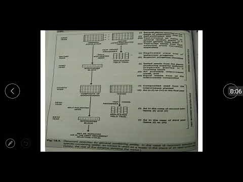 Recurrent Selection for GCA and SCA | easy explained | Breeding Method |