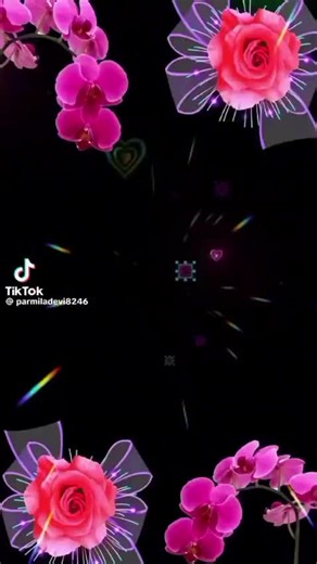 Star✨✨⭐✨️✨️✴️ (@exotic03star)’s videos with original sound - Star✨✨⭐✨️✨️✴️