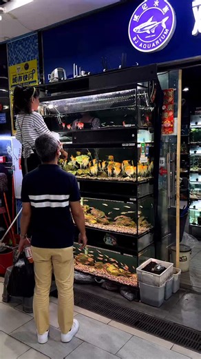 47K views · 2.7K reactions | How often should you change your aquarium water? A healthy tank thrives with a 20–30% water change every week keeping parameters stable, algae down, and your fish happy. ✨ How often do you do your water changes? #aquarium #fishtank #aquariumfish #aquascape | Garnelio.de | Facebook