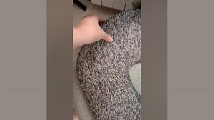 زیرنشیمنی طبی لراوان مدل LJ-SE002-MGY - فیلم ارسالی خریدار