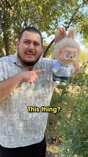 WHERE IS MY WALLET? 😂