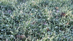 Thought it wouldn't get colder? A hard freeze is coming to Oklahoma, here's how to prepare