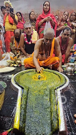 Jai shiv Jai baba baidyanath🙏🕉#shorts#ज्योतिर्लिंग#बाबाधाम#आज का प्रात: कालीन का दिव्य दर्शन🙏 3/7/26