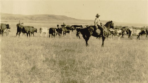 Equality allowed Jeannette Rankin to become the leader she was born to be.The oldest of six children, Jeannette grew up in rural Montana working alongside ranch hands and lumberjacks, helping raise… | Lorissa Rinehart