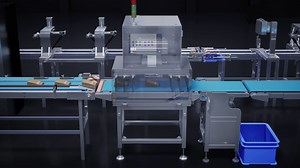 红蓝视觉 | 食品异物检测系统三维动画演示#机械原理动画#工业三维动画