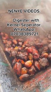 365 reactions · 29 shares | Palm oil milling machines. #chinenyeezeonyebuchi | Chinenye Ezeonyebuchi | Facebook