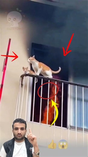 الجميع كان قد استسلم… إلا لطف الله الذي لا يُرى!youtubeshorts #love #اكسبلور