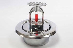 [Hot Item] Escutcheon Plate Fire Sprinkler