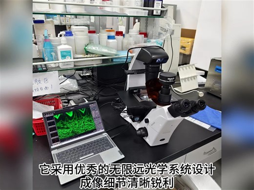 明美倒置显微镜MIX60，智启高性能细胞观察