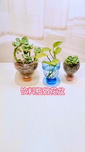 698K views · 5.3K reactions | DIY #creator #restore #craftideas | DIY Show | Facebook