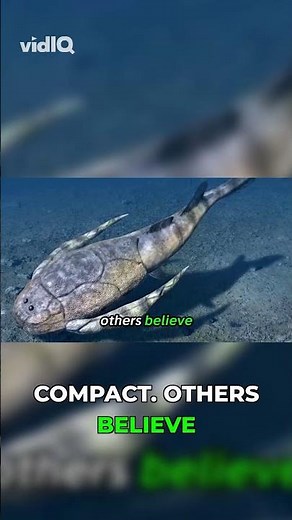 This Ancient Fish Was Worse Than a T. Rex #paleontology #shocking