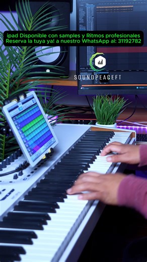 iPad Disponibles con más de 2000 Samples y más de 100 Ritmos Profesionales, a un Precio de Oferta!✅ 🛵 Envío gratis a todo el país! ✅ Pago contra entrega (Pagas al recibir tu iPad) ✅ WhatsApp al: 31192782 Contamos con librerías de: ✅Yamaha PSR 550 ✅Korg Triton Studio ✅Korg N364 ✅Korg 01W ✅Korg M1 ✅Korg D50 ✅Pianos para centro, pianos de adoración y Worship Pads. ✅Instrumentos Reales ✅Sonidos de Jacobo Reynoso, Banda Transfiguración, etc. ✅Korg PA1000 ✅Korg PA700 ✅Yamaha PSR900 ✅Korg Kronos ✅Korg
