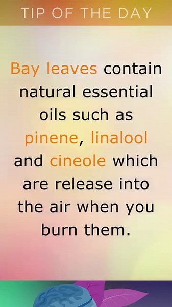 Burning Bay Leaves Benefits #ryantaylor #naturalremedy #bayleaves #tea #herbals #naturalremedies #ryantaylornaturalremedies | Ryan Taylor Natural Remedies