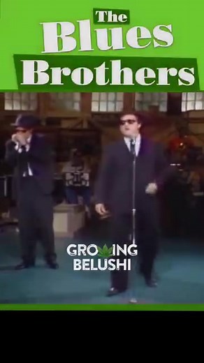 17K views · 1.1K reactions | ☝️ The Blues Brothers First-Ever SNL...