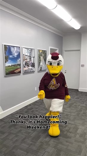 Monty’s ready for Homecoming Saturday! Be sure to say hi and grab a selfie when you see them on campus! 🎉