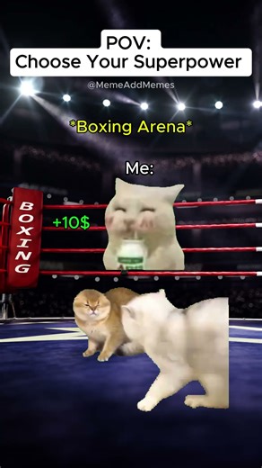 ‎CAT MEMES 😺| Choose your superpower✨