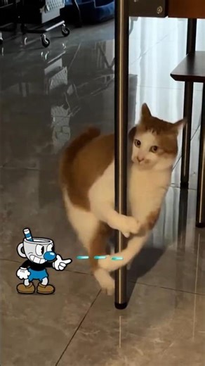 Cuphead Real Life #34 - Pole Dance Cat 🐱💃