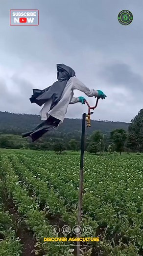 548K views · 2.1K reactions | Who knew protecting your farm could involve a little humor? 浪 This funny contraption may look silly, but trust me, it gets the job done! Scaring off animals and birds like a champ. Sometimes you just need to think outside the box... or in this case, outside the barn! 閭 #FarmLifeGoals #farming #agriculture #farm #protection #animals #birds #technique #funny #scary | Discover Agriculture | Facebook