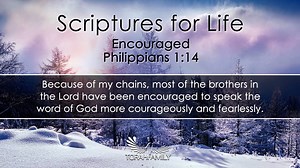 Scriptures for Life | Encouraged Daily devotion for December 12 (2 min) Encourage a friend and share Philippians 1:14 And because of my chains, most of the brothers and sisters have become confident in the Lord and dare all the more to proclaim the gospel without fear. | TorahFamily.org