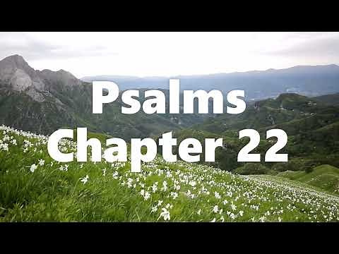 The Book of Psalms Chapter 22 - New King James Version (NKJV) - Audio Bible