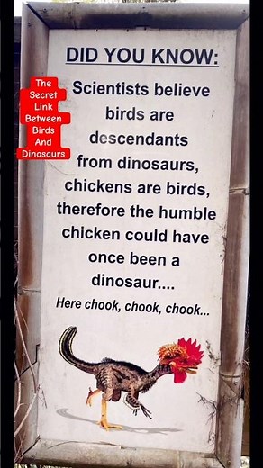 The Dinosaurs That Evolved Into Birds