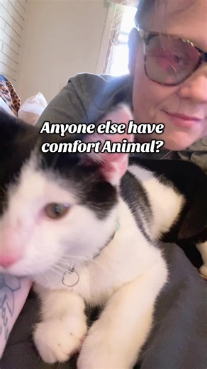 These two kittens have stolen my heart, they are so loving and just there when I need them #kingandrocky #catsoftiktok #fyp #jujusbestielounge #letsgo