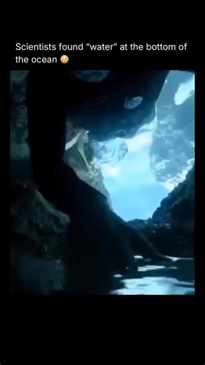 How Things Work on Instagram: "The “water” seen at the bottom of the ocean is usually a brine pool, not normal seawater. These form when extremely salty water seeps out of the seafloor, often from dissolved salt deposits. Because the salinity is so high, the brine is denser than surrounding seawater, so it settles on the bottom instead of mixing, creating what looks like an underwater lake or river with a visible shoreline. The brine is often toxic, low in oxygen, and can kill most animals that