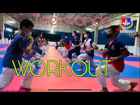 Taekwondo Workout today