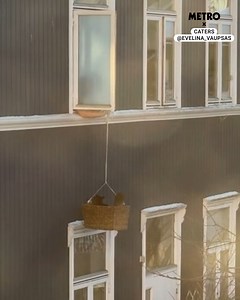 78K views · 534 reactions | This owner deserves a Nobel Prize | Metro | Facebook