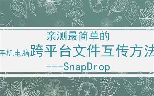 【工具推荐】一次性搞定全平台文件传输、互传snapdrop，免费，零配置，高速！