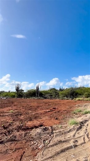 23 reactions · 4 comments | BUSHIRI DREAMS Introducing Bushiri Dreams, a new land development offering 50 full ownership lots in the highly desirable and centrally located area of Oranjestad. Lot sizes start at 249m2 (2680 sq. ft) with prices starting at USD 96,522 / Afl. 171.810 Contact us for more information! info@c21aruba.com  +297 586 4242 www.century21aruba.com #landforsale #forsale #arubarealestate #realestate #investment | Century 21 Aruba Real Estate | Facebook