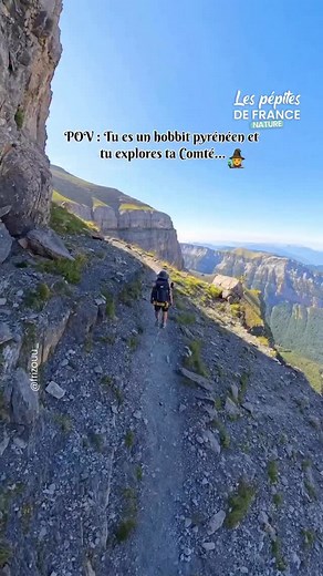 Une véritable randonnée de Hobbit au cœur des Pyrénées 🌿 📍 La Vire des Fleurs Avec son sentier suspendu, ses parois vertigineuses et ses panoramas féeriques, cette randonnée semble tout droit sorti d’un décor de film 🧝‍♂️ 🎥 Vidéo : @frizouu_ #lespepitesdefrance #pyrenees #viredesfleurs #randonnee #nature #patrimoine #occitanie | Les Pépites de France