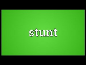 Stunt Meaning