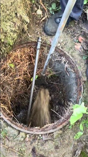 Long Term Drain Care: Building a Maintenance Routine