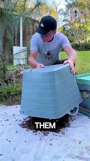 Abrió el Techo de Su Casa… y Encontró MILES de Abejas 😳🐝 #viral #shorts
