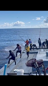 31K views · 283 reactions | Pole and Line Sustainable Skipjack Tuna Fishing  | The life of a fisherman | Facebook