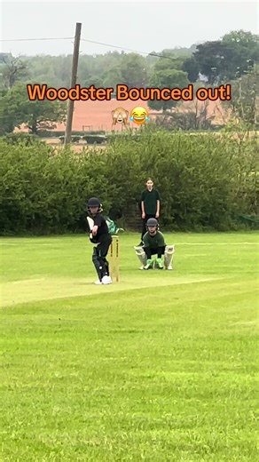 Woodster unfortunately bounced out by one that got big on him! Love the way he is a compulsive Hooker of the ball! 😂💪🏻 keep going son! 🟢🟢 No fear! Better luck next time! 🫶🏻