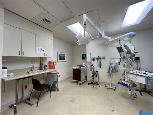 Prop 35, making tax to permanently fund Medi-Cal, passes: AP projection