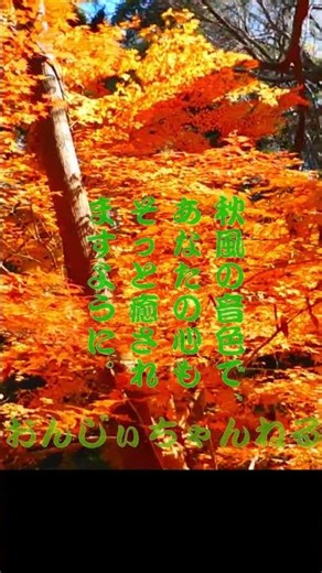 【ヒーリング音楽】 秋の風が心をそっとほどく瞬間「子供目線で近郊の植物園で撮影」#癒し#ヒーリングミュージック