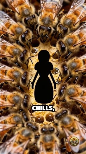 Hive Temperature: The Secret Bee Work Code