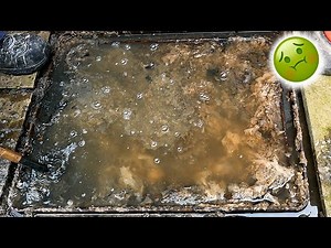 Dave the Drain Strikes Again 💪 Manhole Unblock